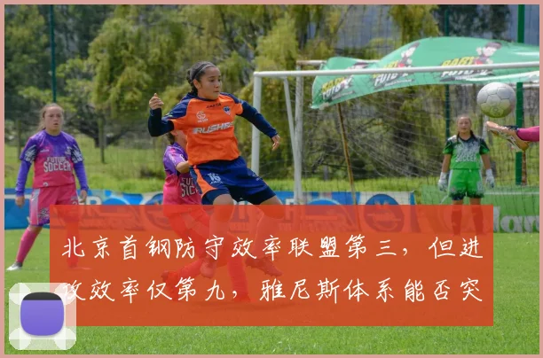 北京首钢防守效率联盟第三，但进攻效率仅第九，雅尼斯体系能否突破季后赛瓶颈？